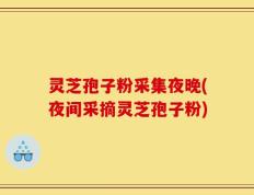 灵芝孢子粉采集夜晚(夜间采摘灵芝孢子粉)