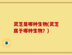 灵芝是哪种生物(灵芝属于哪种生物？)