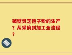 破壁灵芝孢子粉的生产？从采摘到加工全流程？
