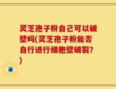 灵芝孢子粉自己可以破壁吗(灵芝孢子粉能否自行进行细胞壁破裂？)