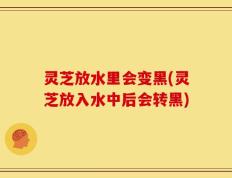 灵芝放水里会变黑(灵芝放入水中后会转黑)