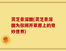 灵芝景深图(灵芝景深图为你揭开草原上的奇妙世界)