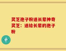 灵芝孢子粉送长辈神奇灵芝：送给长辈的孢子粉