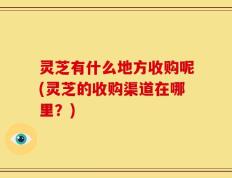 灵芝有什么地方收购呢(灵芝的收购渠道在哪里？)