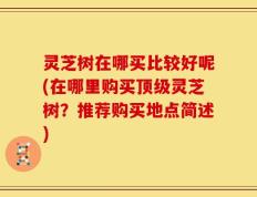 灵芝树在哪买比较好呢(在哪里购买顶级灵芝树？推荐购买地点简述)