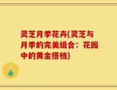 灵芝月季花卉(灵芝与月季的完美组合：花园中的黄金搭档)