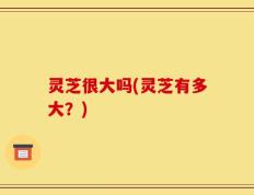 灵芝很大吗(灵芝有多大？)