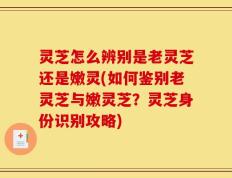 灵芝怎么辨别是老灵芝还是嫩灵(如何鉴别老灵芝与嫩灵芝？灵芝身份识别攻略)