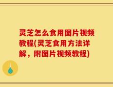 灵芝怎么食用图片视频教程(灵芝食用方法详解，附图片视频教程)