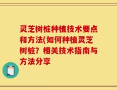 灵芝树桩种植技术要点和方法(如何种植灵芝树桩？相关技术指南与方法分享