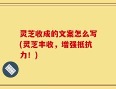 灵芝收成的文案怎么写(灵芝丰收，增强抵抗力！)
