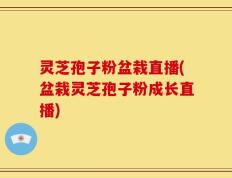 灵芝孢子粉盆栽直播(盆栽灵芝孢子粉成长直播)