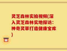 灵芝森林实拍视频(深入灵芝森林实地探访：神奇灵草打造健康宝库)