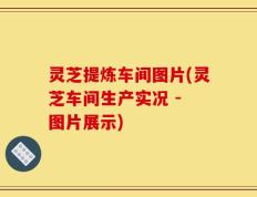 灵芝提炼车间图片(灵芝车间生产实况 - 图片展示)