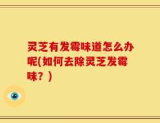 灵芝有发霉味道怎么办呢(如何去除灵芝发霉味？)