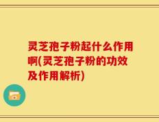 灵芝孢子粉起什么作用啊(灵芝孢子粉的功效及作用解析)