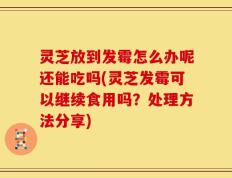 灵芝放到发霉怎么办呢还能吃吗(灵芝发霉可以继续食用吗？处理方法分享)