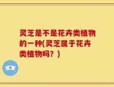 灵芝是不是花卉类植物的一种(灵芝属于花卉类植物吗？)