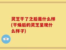 灵芝干了之后是什么样(干燥后的灵芝呈现什么样子)