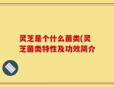 灵芝是个什么菌类(灵芝菌类特性及功效简介