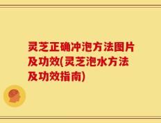 灵芝正确冲泡方法图片及功效(灵芝泡水方法及功效指南)