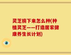 灵芝摘下来怎么种(种植灵芝——打造居家健康养生长计划)