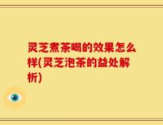 灵芝煮茶喝的效果怎么样(灵芝泡茶的益处解析)
