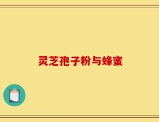 灵芝孢子粉与蜂蜜