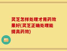 灵芝怎样处理才用药效果好(灵芝正确处理能提高药效)