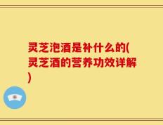 灵芝泡酒是补什么的(灵芝酒的营养功效详解)