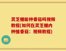 灵芝棚能种香菇吗视频教程(如何在灵芝棚内种植香菇：视频教程)