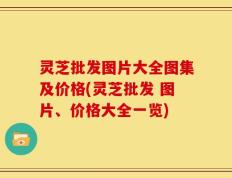 灵芝批发图片大全图集及价格(灵芝批发 图片、价格大全一览)