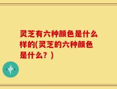灵芝有六种颜色是什么样的(灵芝的六种颜色是什么？)