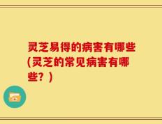 灵芝易得的病害有哪些(灵芝的常见病害有哪些？)