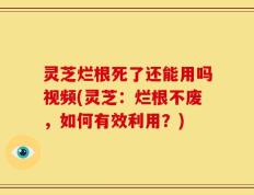 灵芝烂根死了还能用吗视频(灵芝：烂根不废，如何有效利用？)