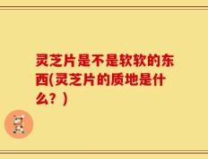 灵芝片是不是软软的东西(灵芝片的质地是什么？)