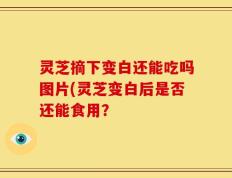 灵芝摘下变白还能吃吗图片(灵芝变白后是否还能食用？