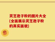 灵芝孢子粉的图片大全(全面展示灵芝孢子粉的真实面貌)