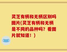 灵芝有柄和无柄区别吗图片(灵芝有柄和无柄是不同的品种吗？看图片就知道！)