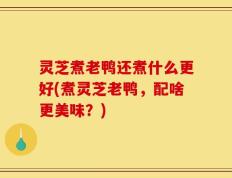 灵芝煮老鸭还煮什么更好(煮灵芝老鸭，配啥更美味？)