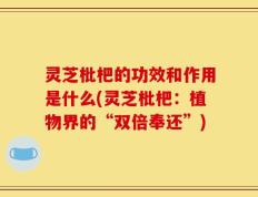 灵芝枇杷的功效和作用是什么(灵芝枇杷：植物界的“双倍奉还”)