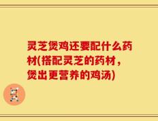 灵芝煲鸡还要配什么药材(搭配灵芝的药材，煲出更营养的鸡汤)