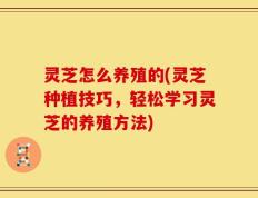 灵芝怎么养殖的(灵芝种植技巧，轻松学习灵芝的养殖方法)