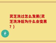 灵芝洗过怎么发黑(灵芝洗净后为什么会变黑？)