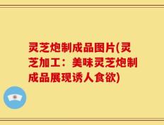 灵芝炮制成品图片(灵芝加工：美味灵芝炮制成品展现诱人食欲)