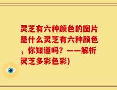 灵芝有六种颜色的图片是什么灵芝有六种颜色，你知道吗？——解析灵芝多彩色彩)