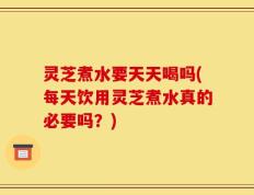 灵芝煮水要天天喝吗(每天饮用灵芝煮水真的必要吗？)