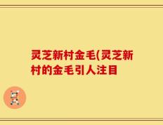 灵芝新村金毛(灵芝新村的金毛引人注目