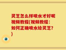 灵芝怎么样喷水才好呢视频教程(视频教程：如何正确喷水给灵芝？)