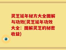 灵芝延年秘方大全图解与功效(灵芝延年功效大全：图解灵芝的秘密收益)